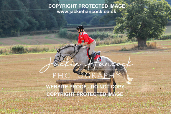 JHP20132