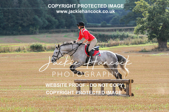 JHP20133