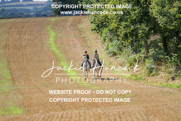 JHP20137