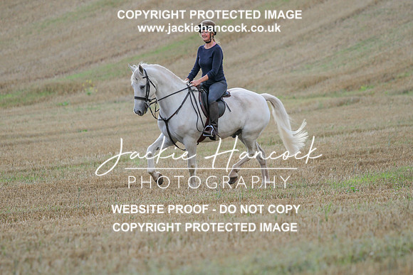 JHP20142
