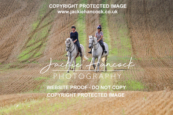JHP20138
