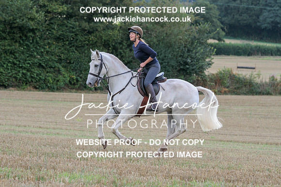 JHP20167