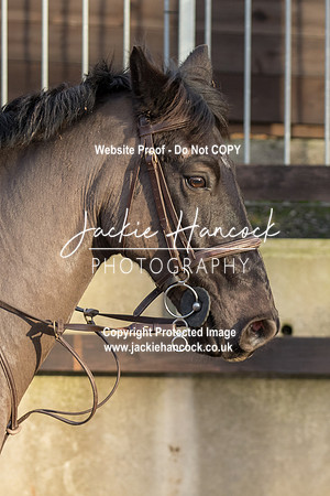 155956-UCP-JH