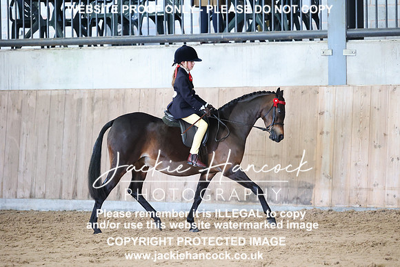 JHP_0347