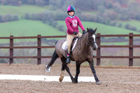 Dressage 10.02.19 Triley Fields