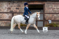 HL Dressage 17.2.19