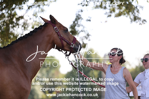 JHP_0775