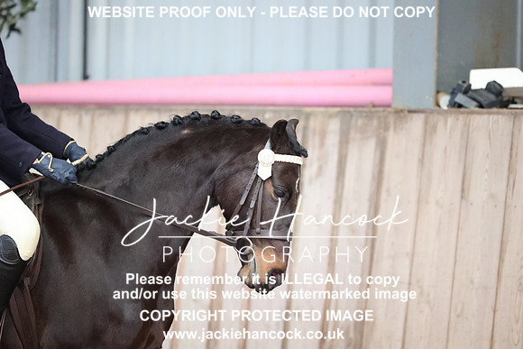 JHP_0273