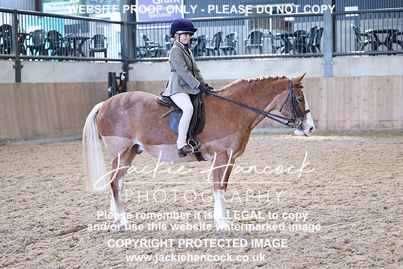 JHP_4028