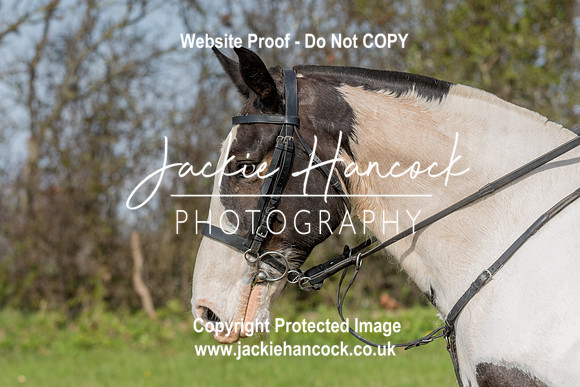 100939-UCP-JH