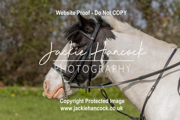 103829-UCP-JH