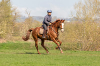 Meadow - Caradoc 2019