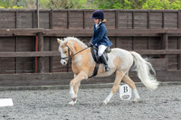 Holme Lacy Dressage 7.4.19