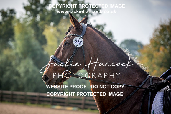111107-171021-JHP-2