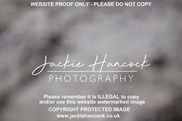 R5JH0103