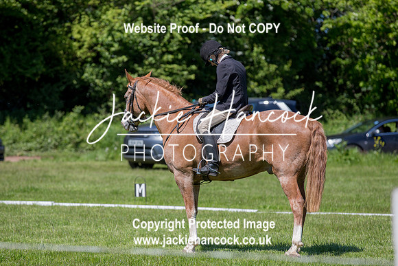 133111-UCP-JH