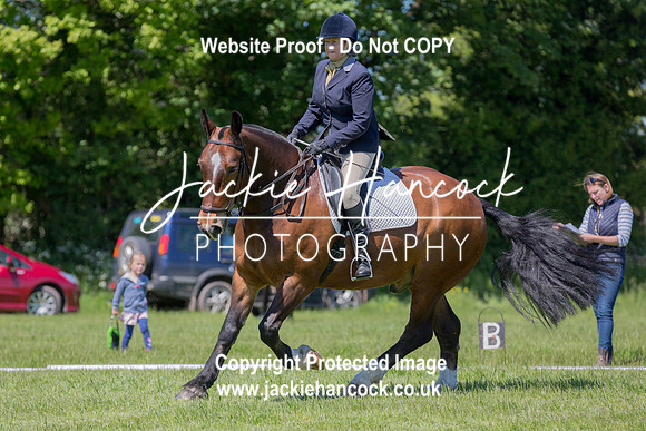 133601-UCP-JH