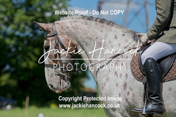 133948-UCP-JH