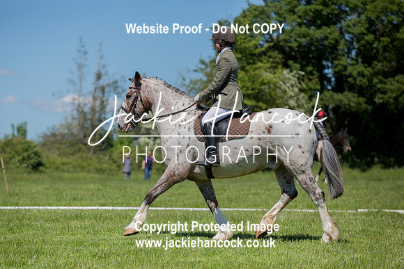 134113-UCP-JH
