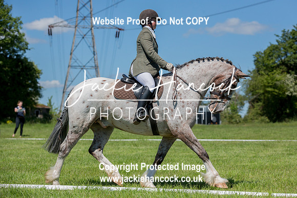 134245-UCP-JH-2