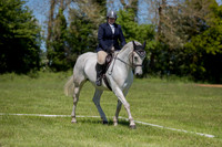 Dressage