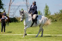 Class 5 (Novice 24)