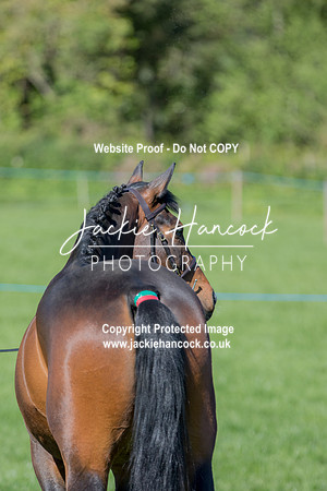 100006-UCP-LR