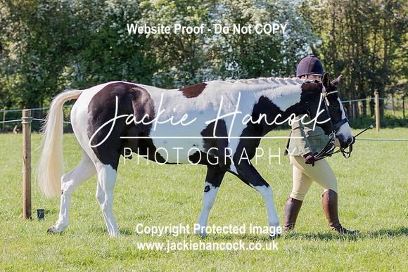 100454-UCP-LR