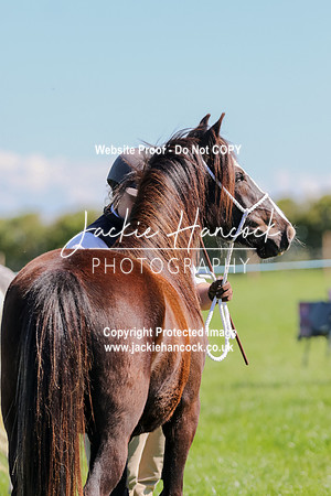 111953-UCP-LR