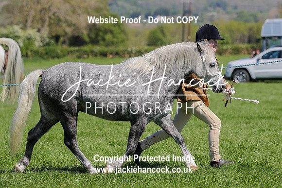 114841-UCP-LR