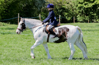 Class 22 & 23 (Best Mare, Gelding)