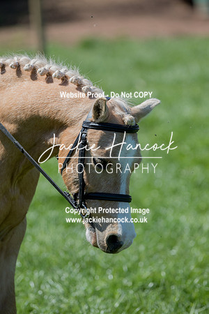 121753-UCP-LR