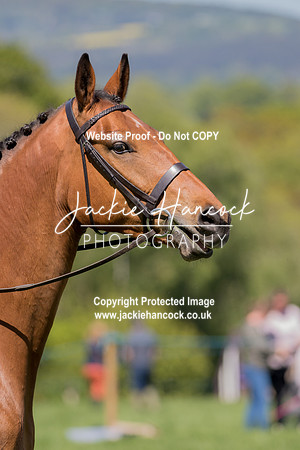 123037-UCP-LR