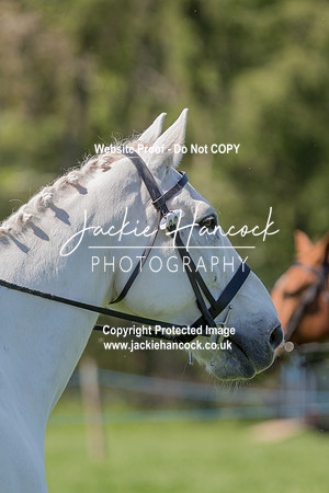 141806-UCP-LR