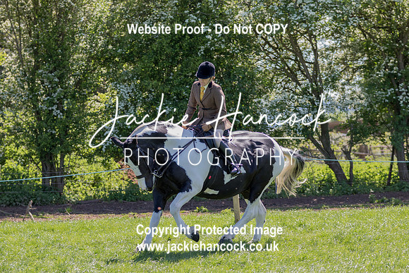 144433-UCP-LR