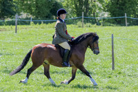 Ridden Championships