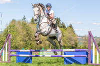 Show Jumping & Working Hunter