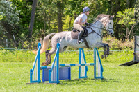 Clear Round & Working Hunter