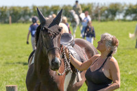 General Showground