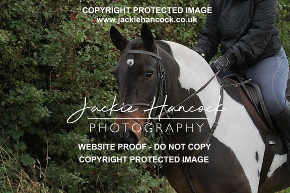 JHP20062
