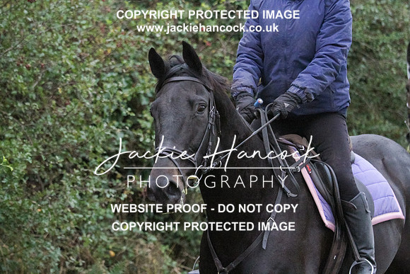 JHP20077