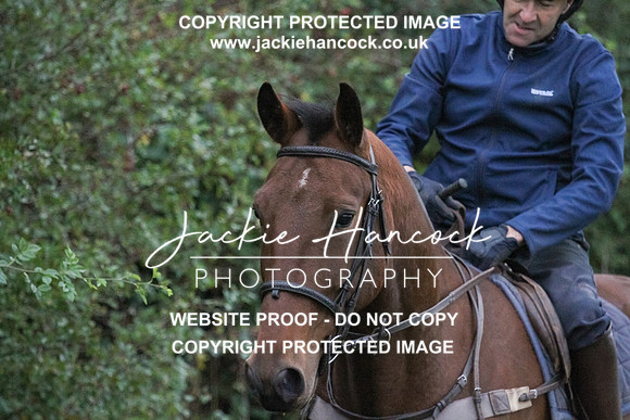 JHP20113