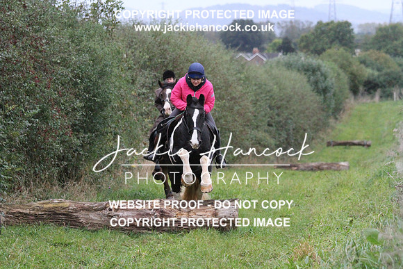 JHP20129