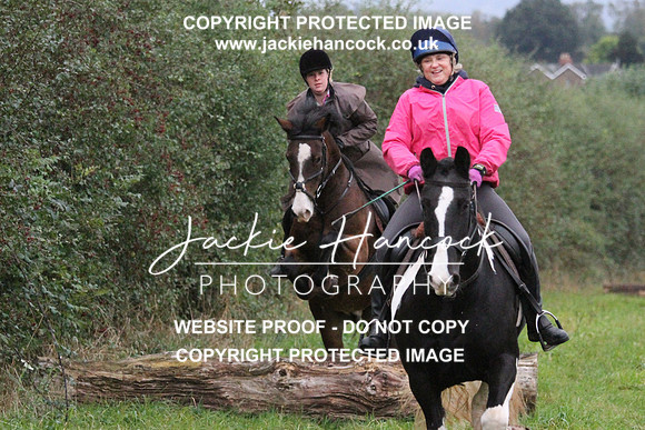 JHP20130