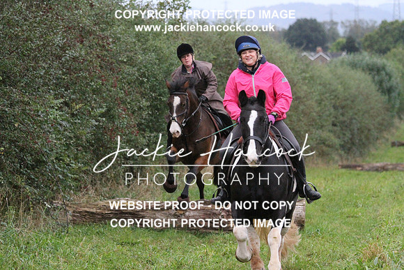 JHP20131