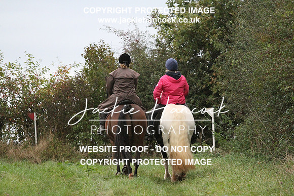 JHP20137