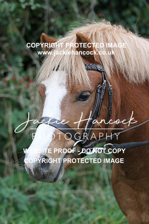 JHP20285