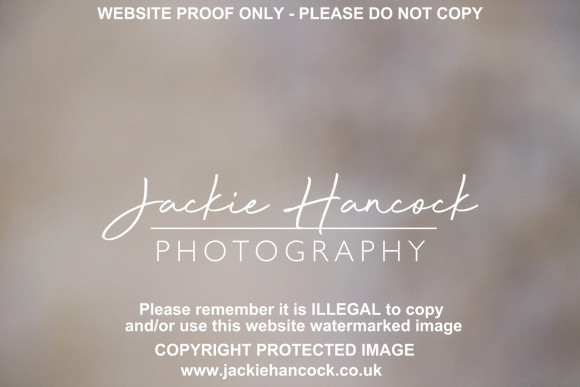 R5JH1403