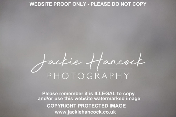 R5JH3223