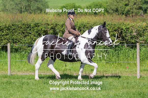 103141-UCP-GL